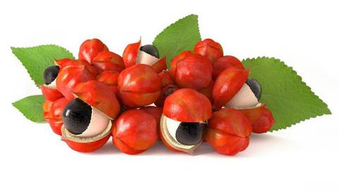 guarana.jpg?1738081735814