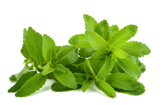 stevia.jpg?1738081888218