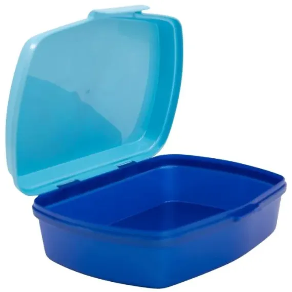 Lancheira Retangular Bluey e Bingo