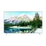 Skywort TV Smart 86" Led UHD 4K Android
