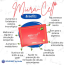 Suplemento Natural Miira-Cell + ( Meia caixa de 12 saquetas)